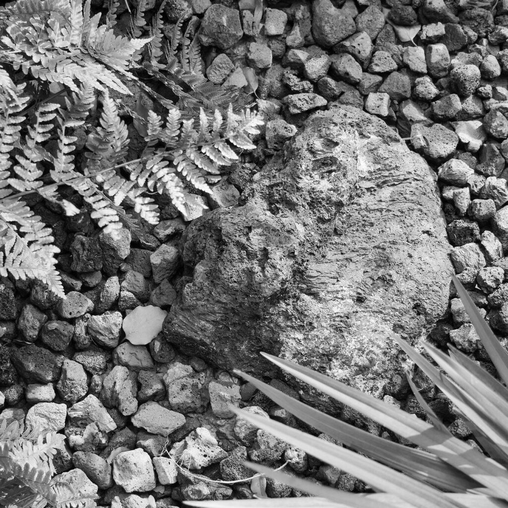 上海中山公园长宁路段