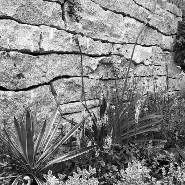 上海私邸庭院 文翠园